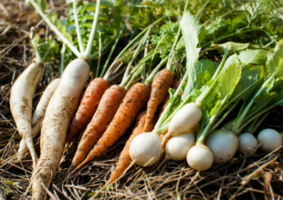 有機野菜が食べたい！