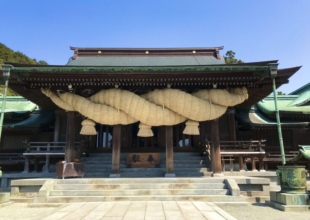 12/25(日)福津市議選投票日！「豆田ゆう子」とlet`sGO!