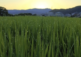 運動グループの目標！