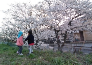 西鉄宮地岳線跡地利用に異議あり！(１２月議会①)