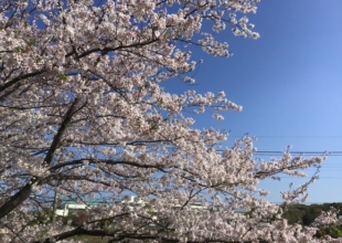 ネット古賀　第34回総会が終わりました