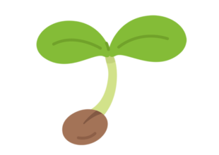 福岡県に種子条例の制定を求めます　署名にご協力ください