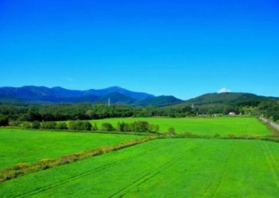 6月議会報告ニュースvol 71発行しました