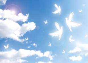 田中るみ子のプロフィール