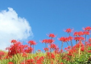 「平和」と「いのち」が一番大事