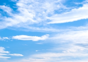 「ライオンと檻」著者・はんどう大樹さんの講演を聞いて　(2024.11.23土曜日)