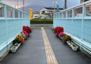 9月議会号ニュース発行①