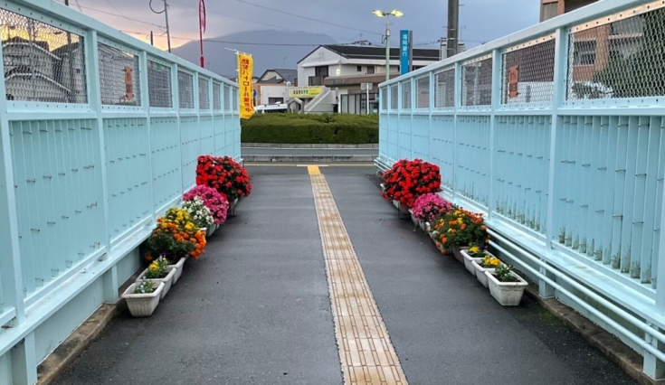 9月議会号ニュース発行①