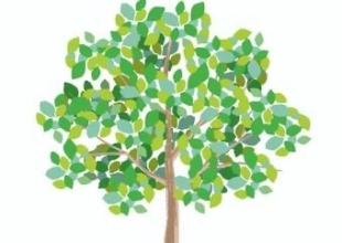 大事にしている３つのルール