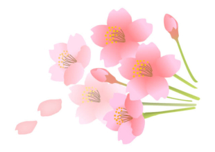 3月16日(日)告示日