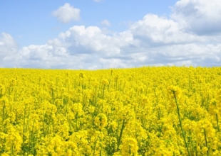 第35回総会を行いました。