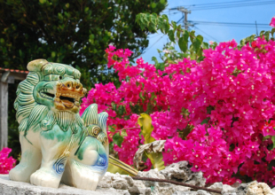 沖縄慰霊の日に思う