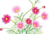 １２月議会が始まります！