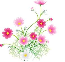 １２月議会が始まります！