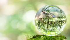 第３６回　通常総会   「市民政治」を再確認