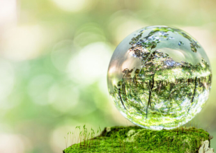 第３６回　通常総会   「市民政治」を再確認