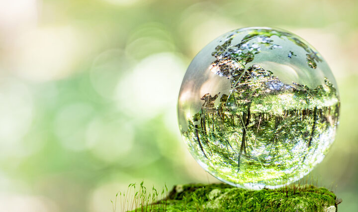 第36回 通常総会 「市民政治」を再確認