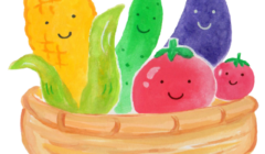 食の学習会始まります！