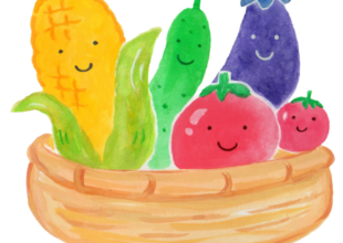 食の学習会始まります！